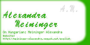 alexandra meininger business card